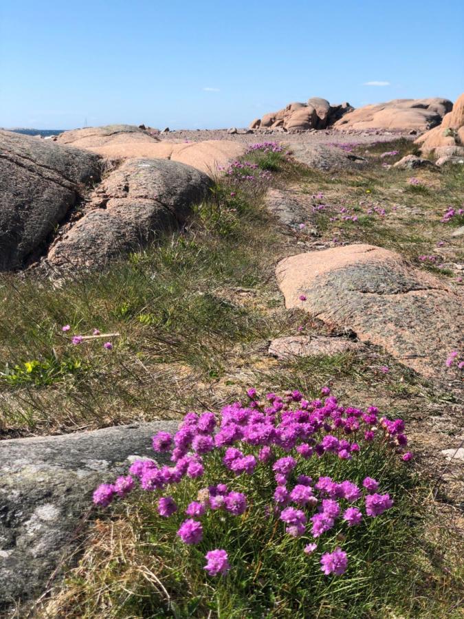 Ferienwohnung Havings Skafferi Lysekil Exterior foto